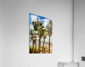 Palmtrees at Swamis Acrylic Print