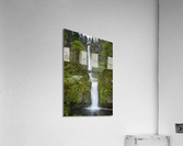Multnomah Falls Acrylic Print