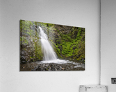 Dog Creek Falls Acrylic Print