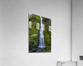 Starvation Creek Falls Acrylic Print