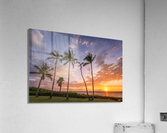 Kihei coconut trees Acrylic Print