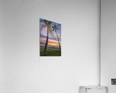 sunset coconut  Acrylic Print
