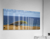 kaupo Acrylic Print