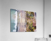 Swamis Acrylic Print