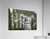 Thinking Acrylic Print