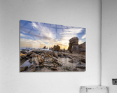 Corona del mar Acrylic Print