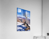 winter in canyonland Acrylic Print