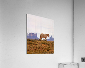 At monument valley Acrylic Print