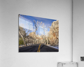 Road in Zion Acrylic Print