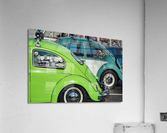 Old beetles Acrylic Print