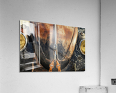 Rusty bug Acrylic Print
