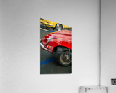 old jag Acrylic Print