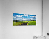 Jurassic ranch Acrylic Print