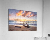 DSC05641 Acrylic Print