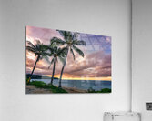 DSC05311 Acrylic Print
