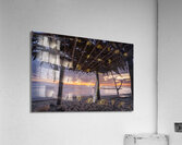 DSC04965t Acrylic Print