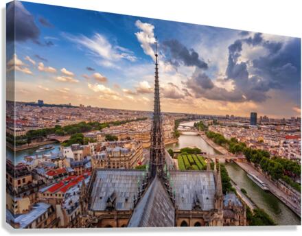 Notre Dame rooftop Canvas Print