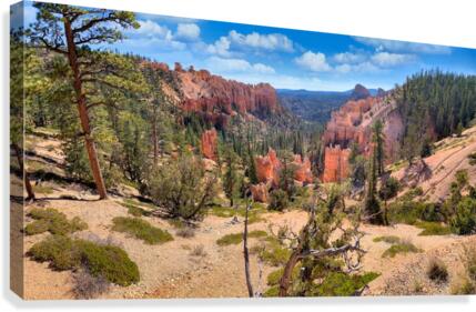 Spring in Bryce Canyon Canvas Print