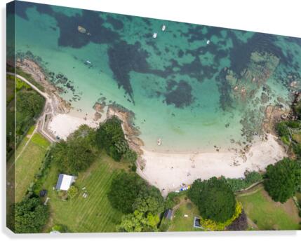 plage des oiseaux 3 Canvas Print