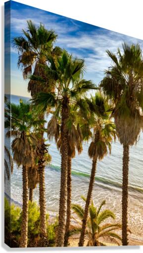 Palmtrees at Swamis Canvas Print