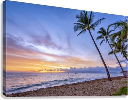 kaanapili sunset Canvas Print