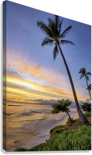 Kaanapili sunset Canvas Print