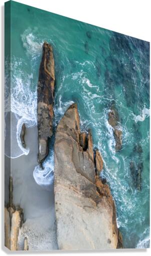 La Jolla Neptune Canvas Print