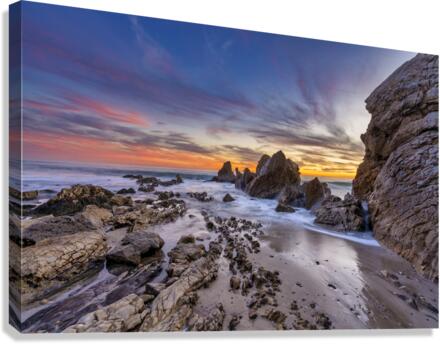 Little corona Canvas Print