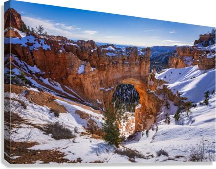 The Bridge in Bryce Canvas Print