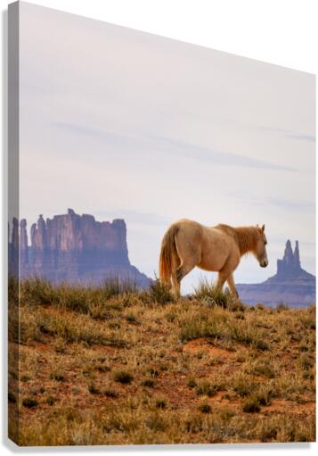 At monument valley Canvas Print