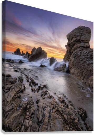 LITTLE CORONA Canvas Print