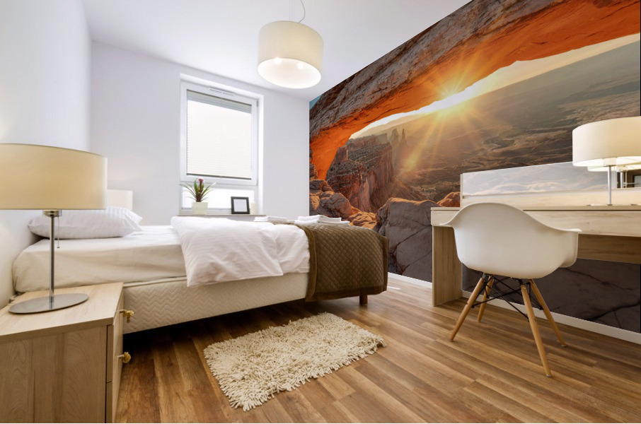 Mesa Arch Mural print