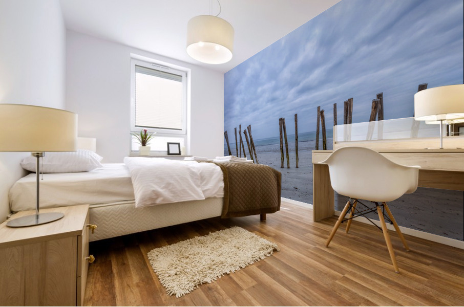 Cleut Rouz Mural print