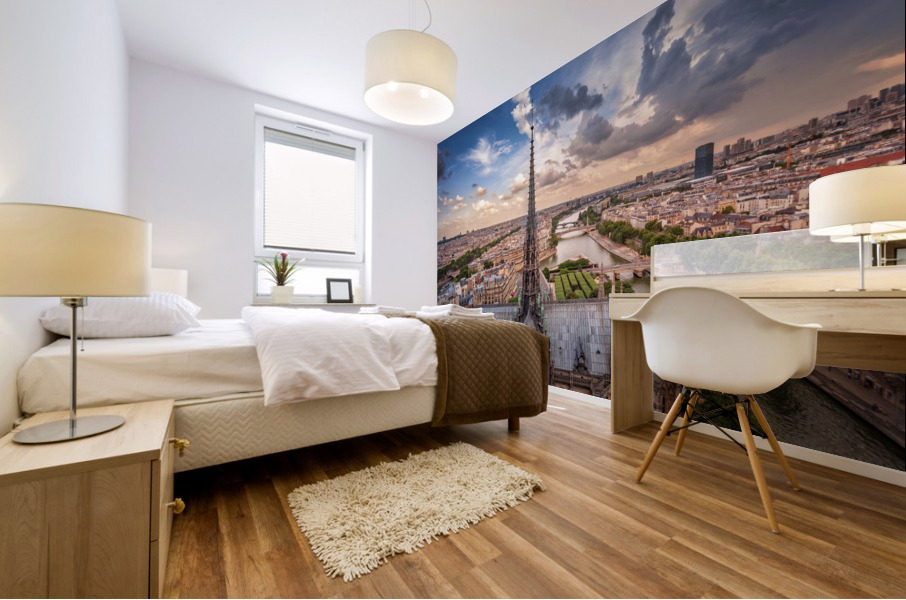 Notre Dame rooftop Mural print