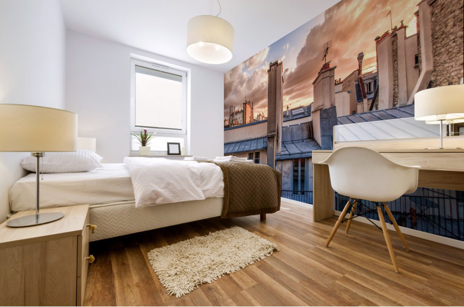 Paris rooftop Mural print