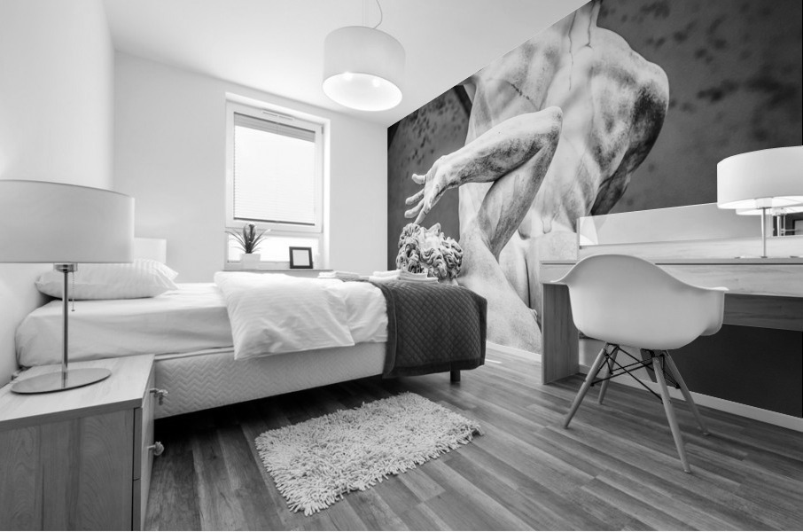 Statues in Florence Mural print