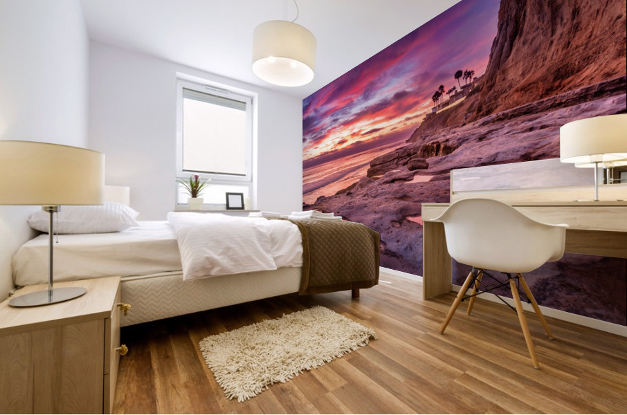 Terramar beach  Carlsbad Mural print