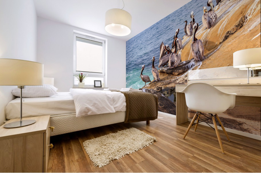 Pelicans 2 Mural print