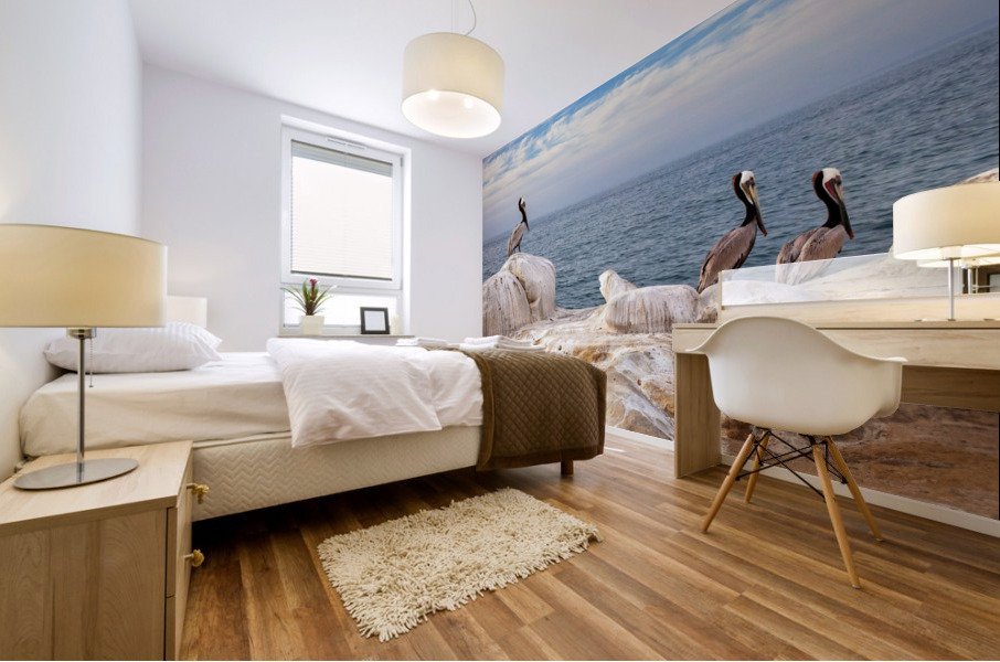 Pelicans 1 Mural print