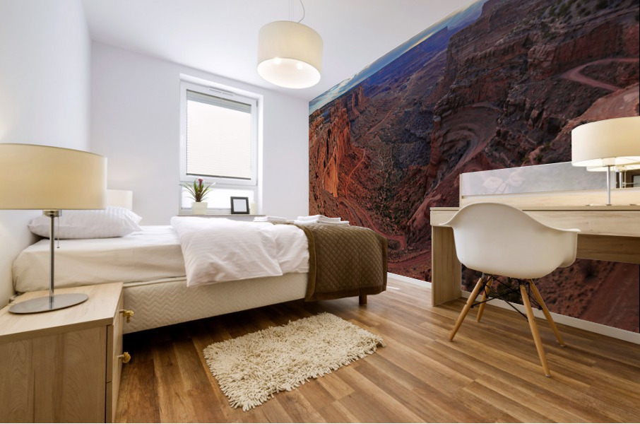 shafer trail Mural print