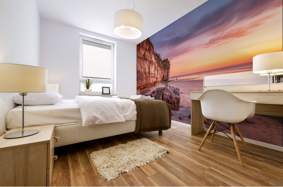 Cliff in Encinitas 2 Mural print
