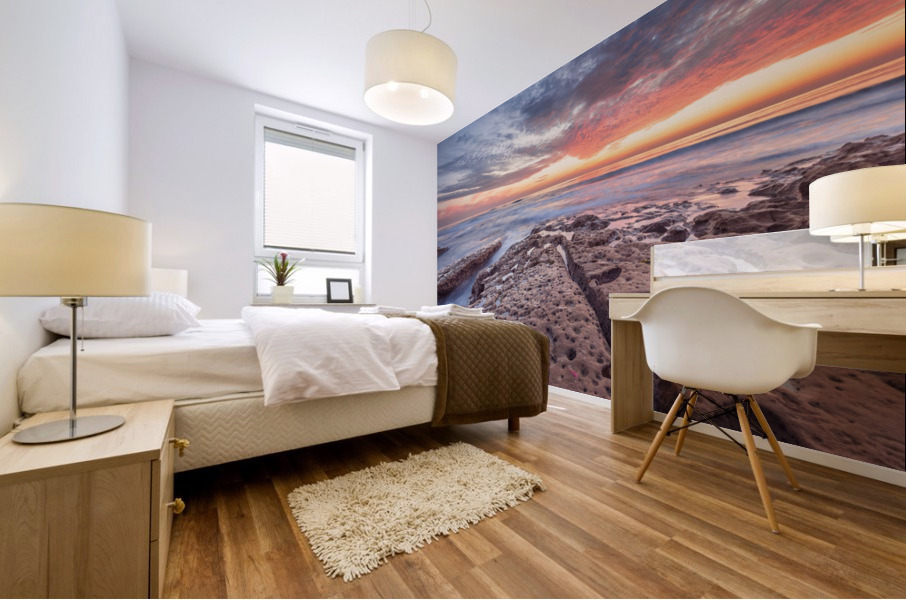 La Jolla reef 3 Mural print