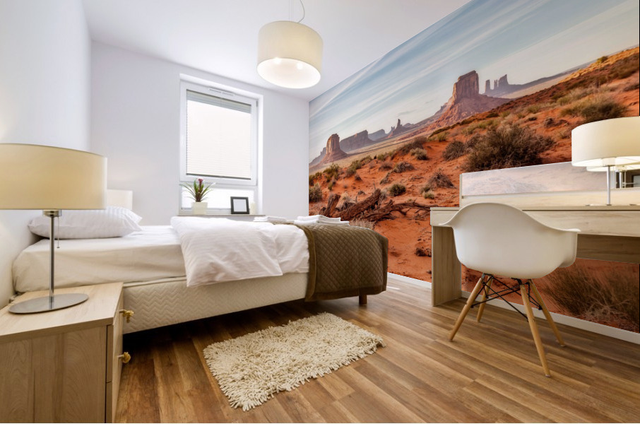 Monument Valley Mural print