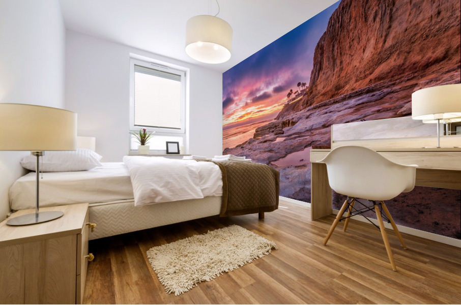 Carlsbad cliffs 1 Mural print
