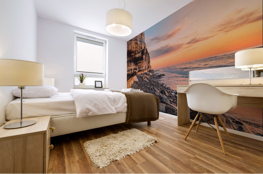 Cliff in Encinitas Mural print