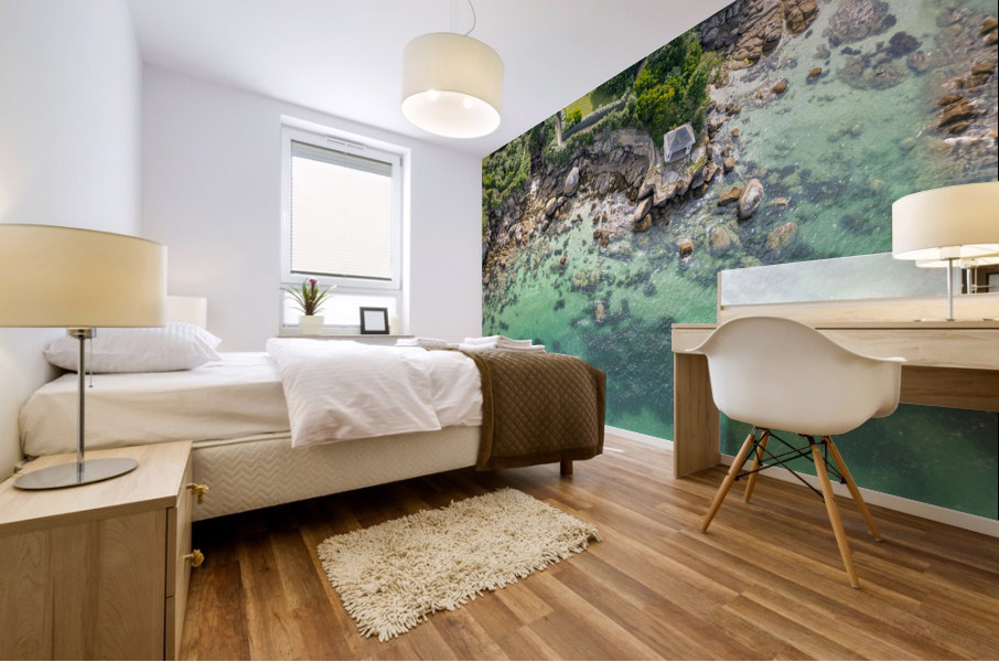 plage des oiseaux 2 Mural print