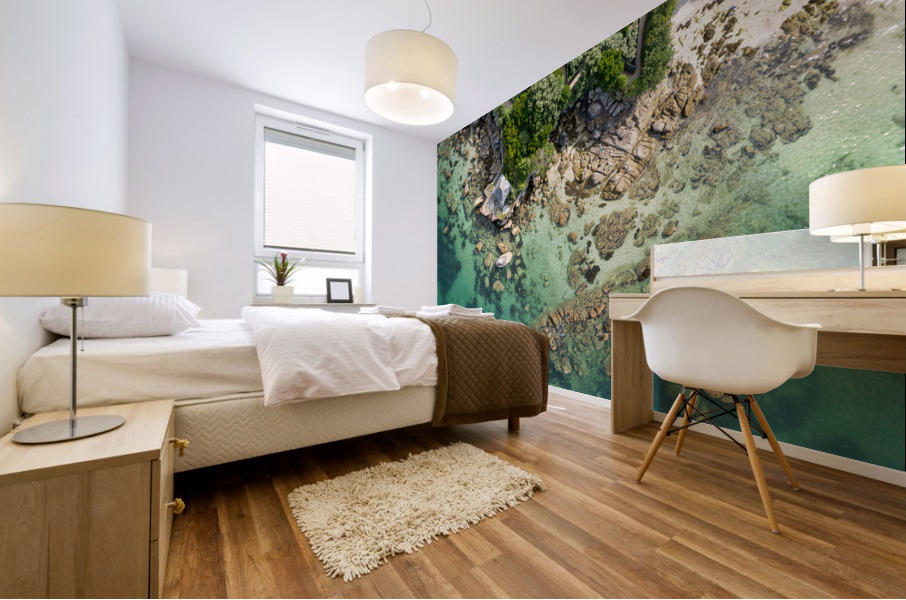 plage des oiseaux Mural print