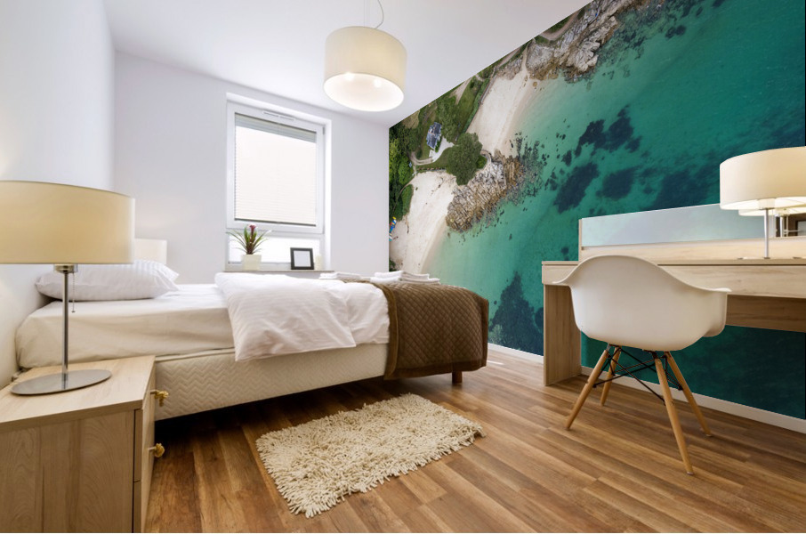 Plage de Bot Conan Mural print