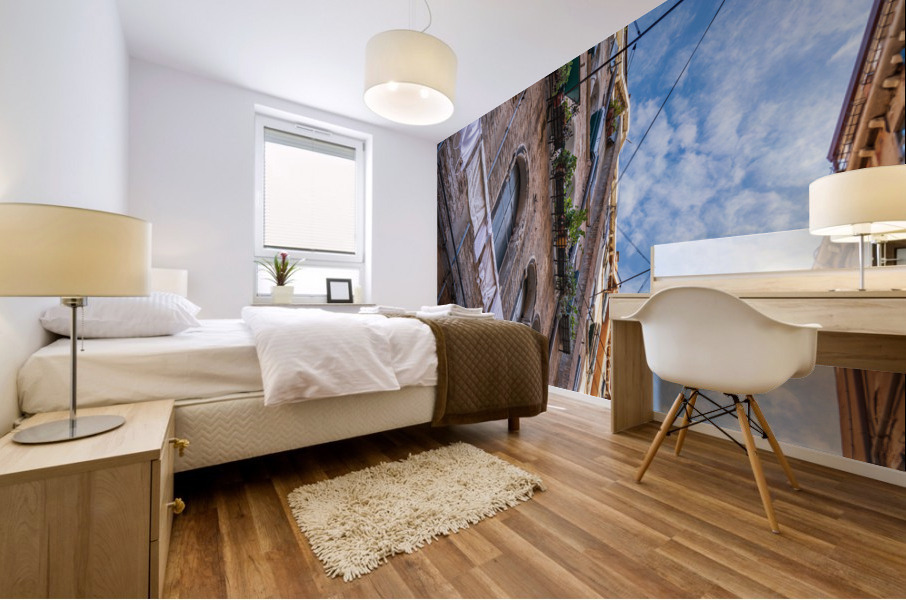 Venetian Dryer Mural print