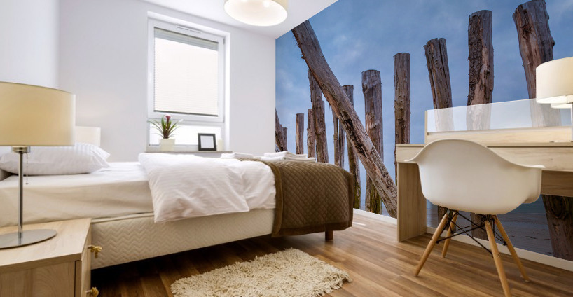 Cleut Rouz Mural print